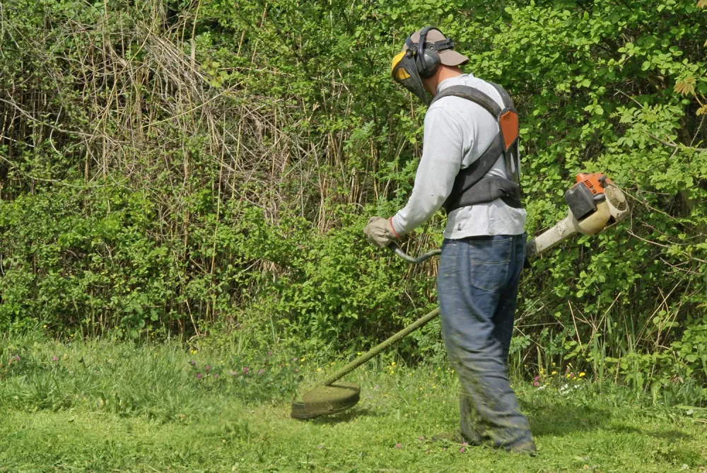 debroussaillage