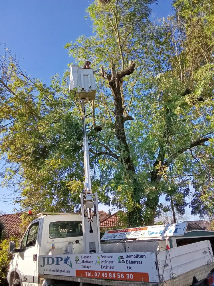 Élagage - Abattage (3)webp