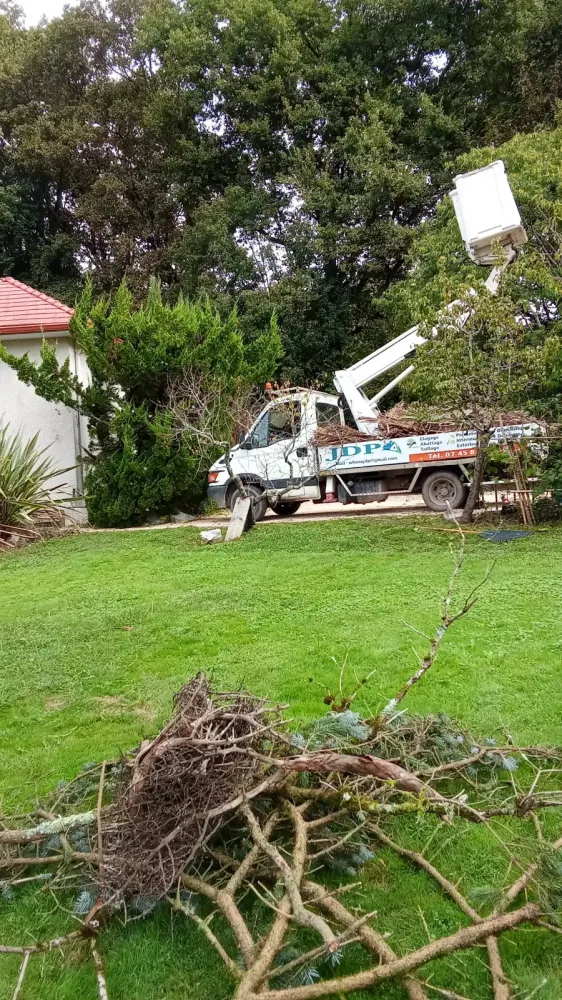 Élagage - Abattage (1)webp